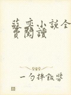 苏奕小说全文免费阅读