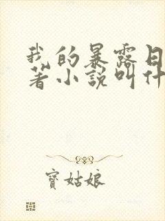 我的暴露日记原著小说叫什么