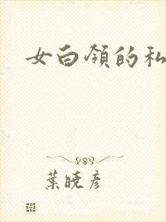 女白领的私生活