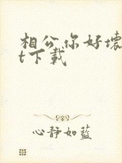 相公你好坏txt下载
