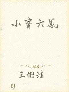 小宝六凤