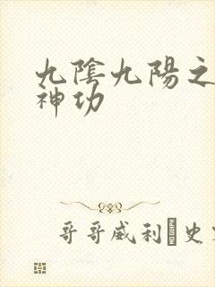九阴九阳之阴阳神功