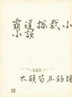 霸道总裁小娇妻小说