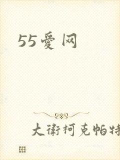 55爱网