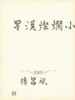 星汉灿烂小说