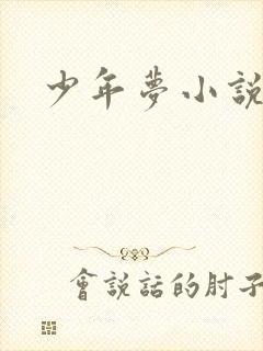 少年梦小说
