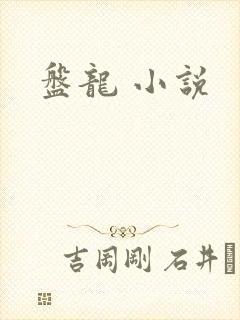 盘龙 小说