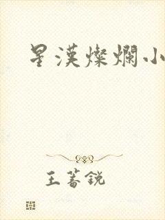 星汉灿烂小说