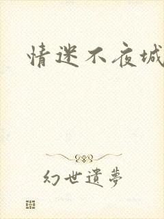 情迷不夜城