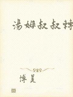 汤姆叔叔转接口