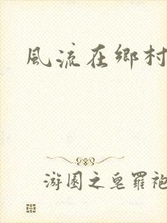 风流在乡村