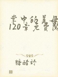 掌中的美母版主120章免费阅读