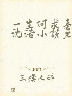 一生何求秦菲雪沈浩小说免费阅读全文