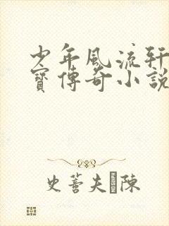 少年风流轩辕大宝传奇小说
