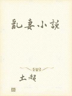 乱妻小说