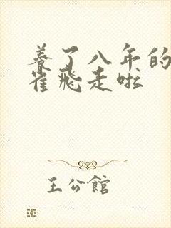 养了八年的金丝雀飞走啦