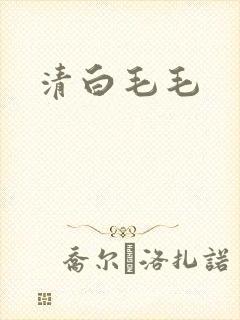 清白毛毛