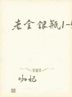 老金银瓶1-5