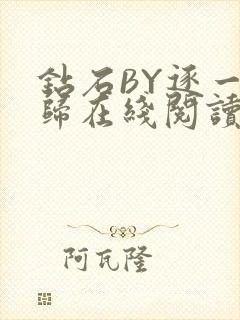 钻石BY逐一而归在线阅读