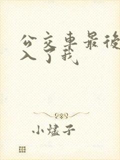 公交车最后一排入了我