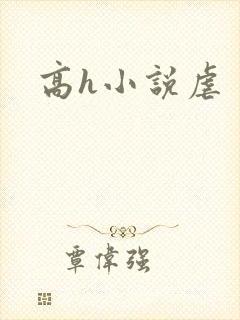 高h小说虐