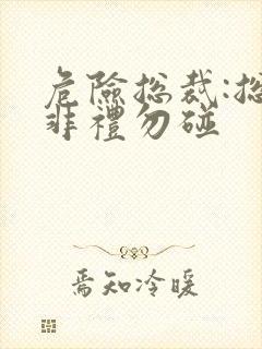 危险总裁:总裁非礼勿碰