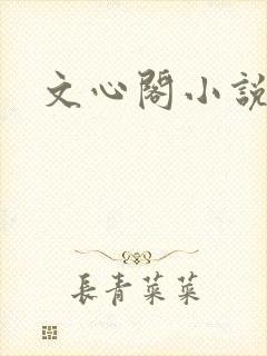 文心阁小说