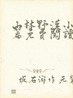 山林野汉小说全篇免费阅读