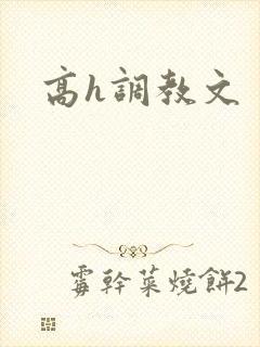 高h调教文
