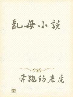 乱母小说
