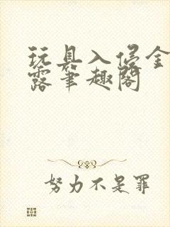 玩具入侵金银花露笔趣阁