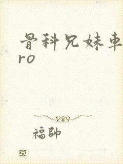 骨科兄妹车多pro