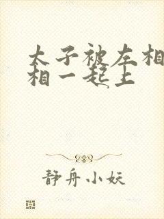 太子被左相和右相一起上