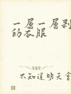 一层一层剥掉你的衣服