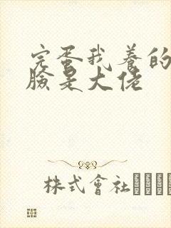 完蛋我养的小白脸是大佬