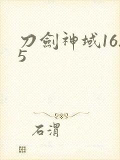 刀剑神域16.5