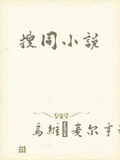 搜同小说