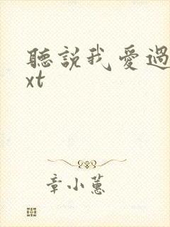 听说我爱过你txt