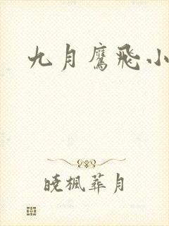 九月鹰飞小说
