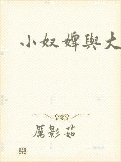 小奴婢与大少爷