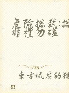 危险总裁:总裁非礼勿碰