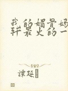 我的媚骨妈妈林轩最火的一句