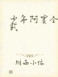 少年阿宾全集下载