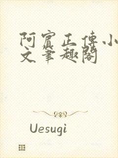 阿宾正传小说全文笔趣阁