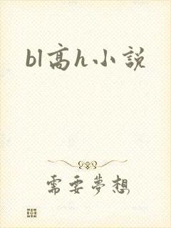 bl高h小说
