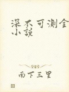 深不可测金银花小说