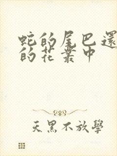 蛇的尾巴还在我的花丛中