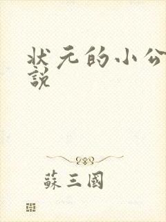 状元的小公主小说