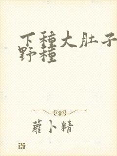 下种大肚子怀孕野种
