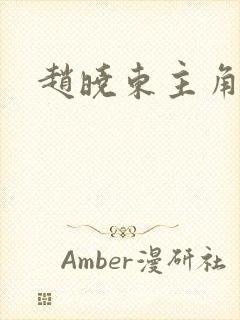 赵晓东主角小说